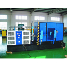 Non-Standard Customized Stationary Screw Air Compressor